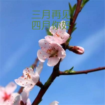 六一儿童节微信祝福语（61儿童节祝福语）