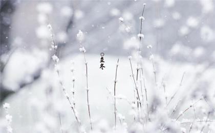 清明时节爱上我(2023三月节日)