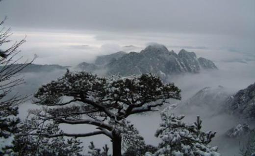 雪唯美伤感意境句子[50句] (黑白意境伤感句子图片)