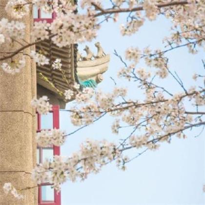 春节回家过年的句子精选