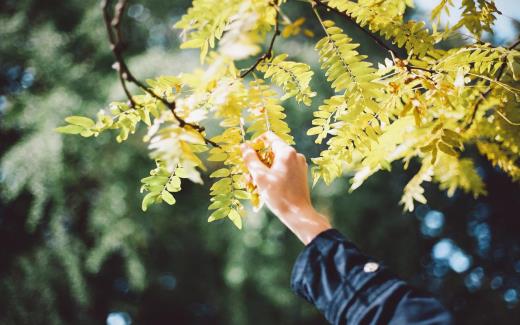 提前祝福新年短信 给分隔两地的爱人拜年短信(40条)