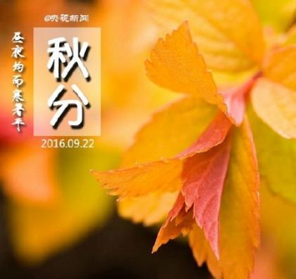 腊八节暖心祝福语[24条] (今天腊八节祝福语)