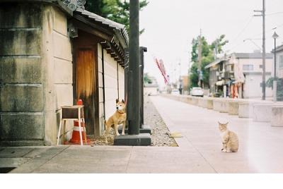 女生说说心情短语（女生委屈说说短语）