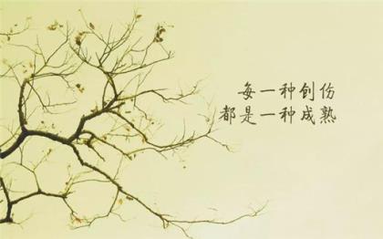 关于人物描写的语句200字