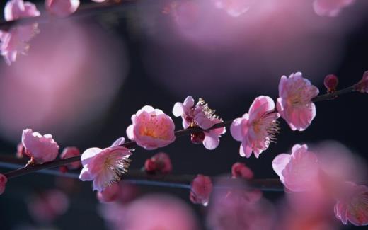 空虚寂寞的句子图片 表达寂寞空虚的句子集锦