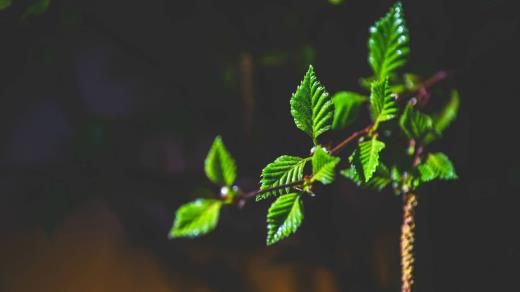 搜索八月十五中秋节的祝福语（八月15中秋节祝福语）