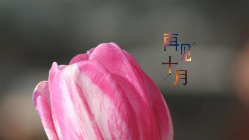 中年长辈生日祝福语八个字[36条] (祝老年人生日贺词四字)