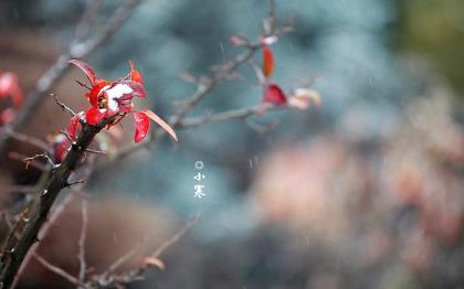 并列排比句举例精选(排比句的举例)