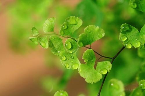 中秋节给长辈送祝福的话[60句] (中秋节祝福语送老板)