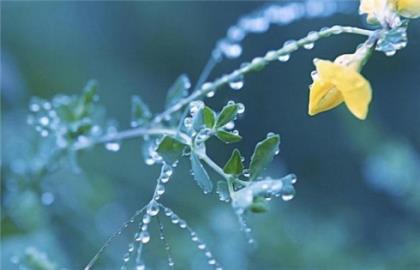 五四青年节励志的话