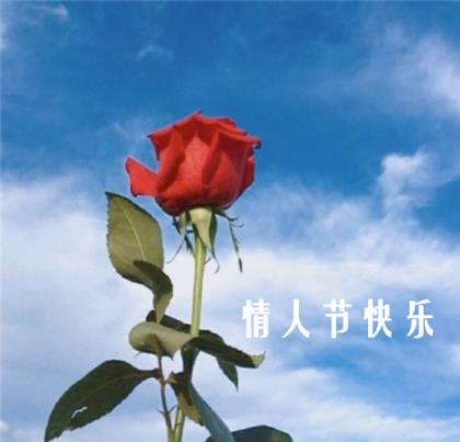 端午节给客户微信祝福（端午节微信朋友圈搞笑段子）