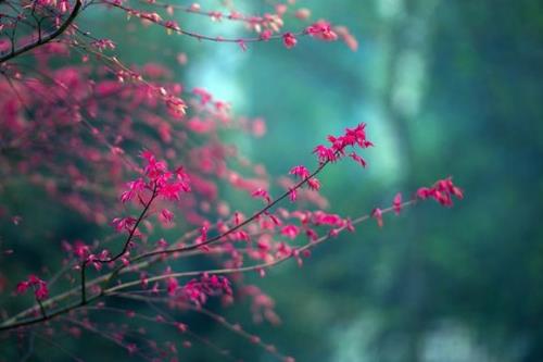 祝福领导中秋节快乐 中秋节祝福短信给领导