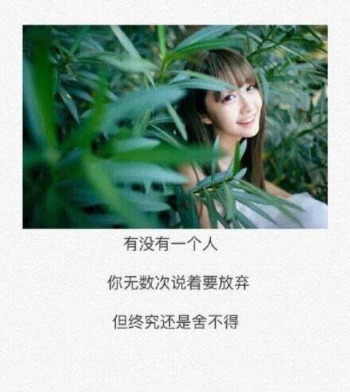 跟女生表白最感动的话（关于表白的唯美句子）