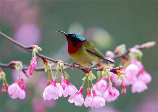 圣诞节微信朋友圈（微信圣诞节动画表情包）